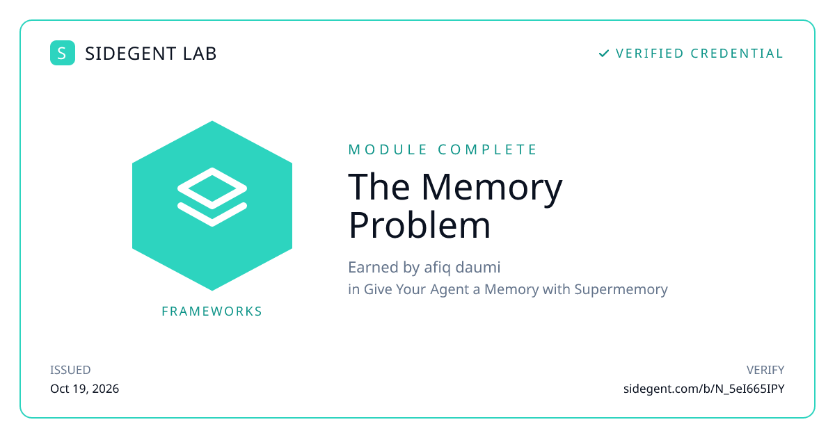 The Memory Problem