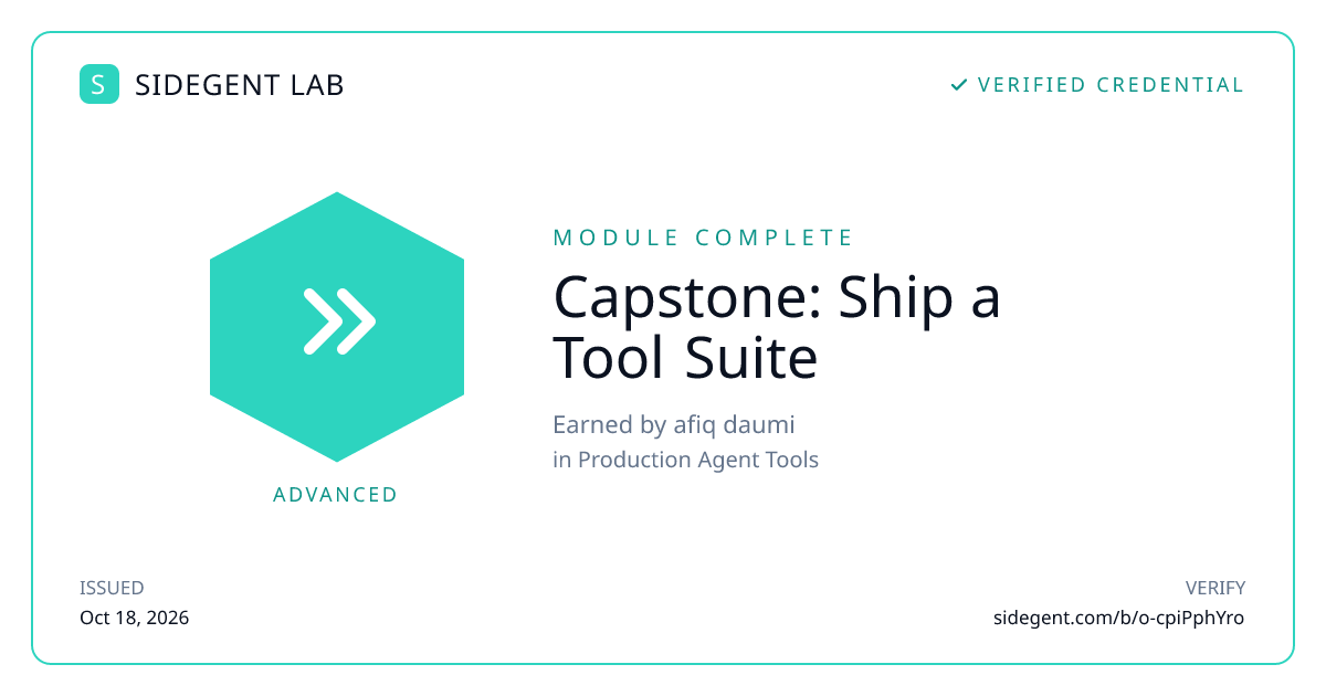 Capstone: Ship a Tool Suite