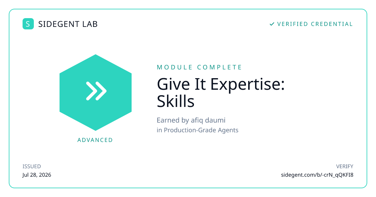 Give It Expertise: Skills