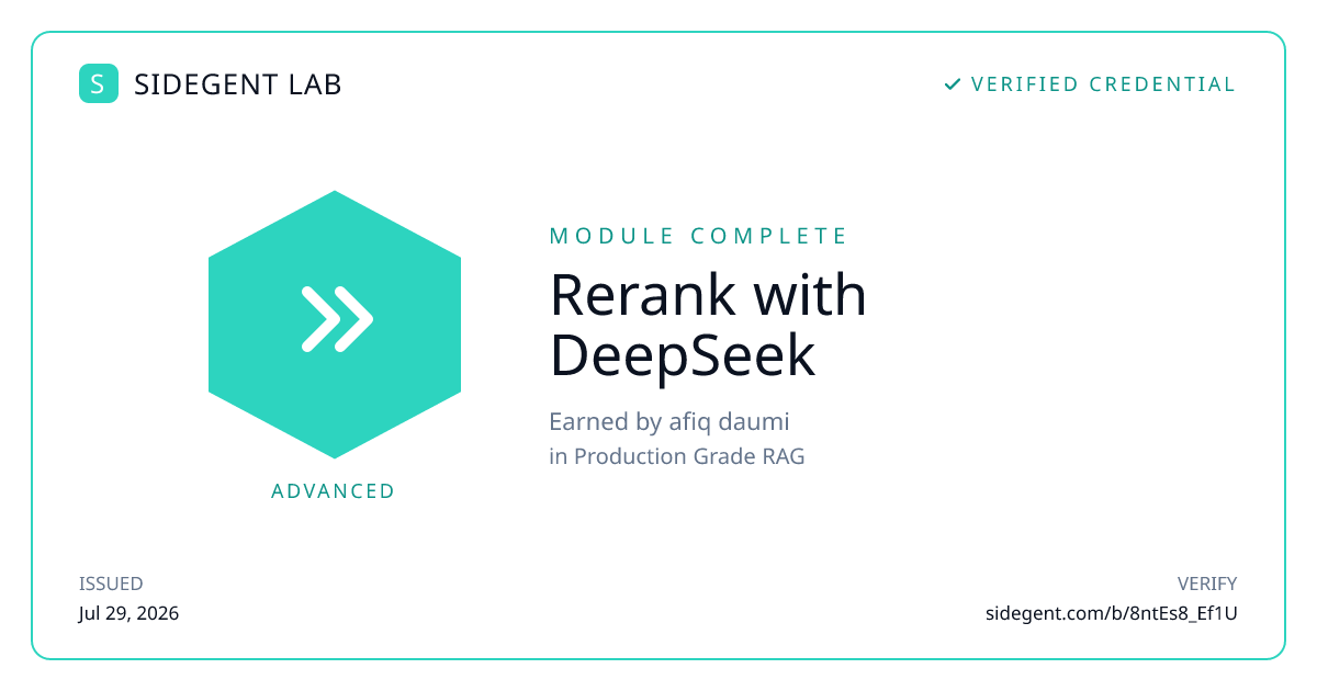Rerank with DeepSeek